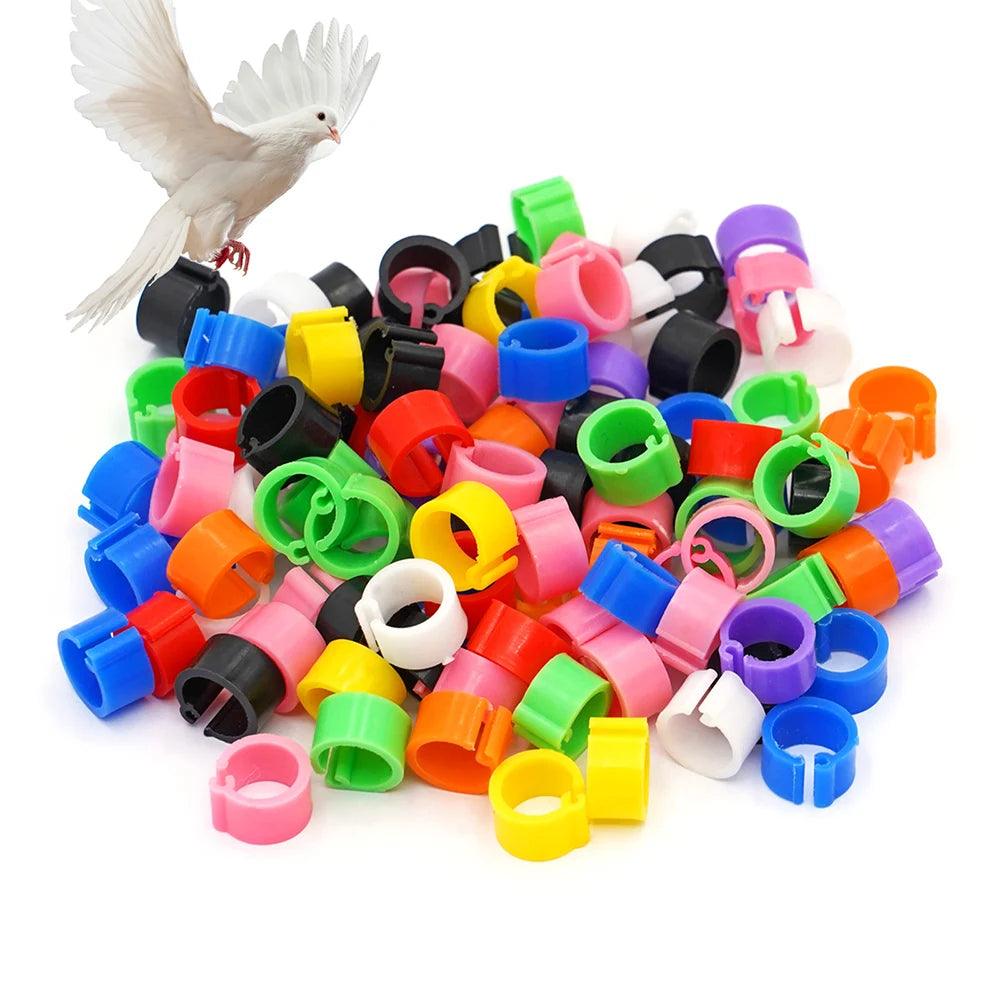 100 Pcs Bird Pigeons Rings 8mm Bayonet Identification Ring Opening Pigeon Ring Color Pigeon Foot Ring Pigeon Bird Appliances