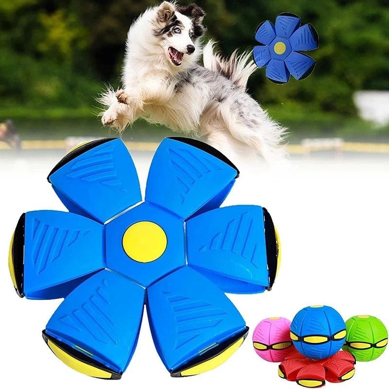 Dog Toys Magic Funny Pet Toy Flying Saucer Outdoor Dog Training Toy Pelota Perro Dogs Accessoires Futurism Saucer Ball