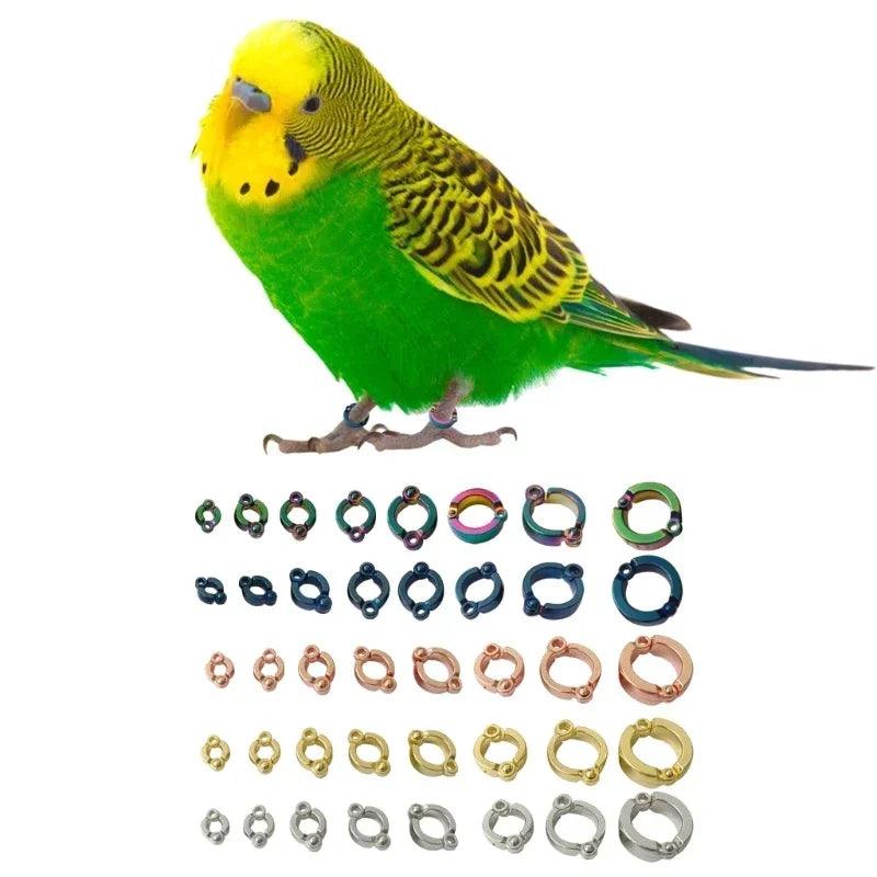 Parrot Foot Rings Metal Pet Bird Leg Rings Outdoor Fly Training Activity Anti-Lost Opening Clip Leash Accessories 4-15mm